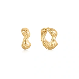 Ania Haie Earring/E050-04G