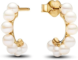 Earring / 263179C01