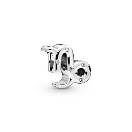 PANDORA Moments Charm / 798423C01