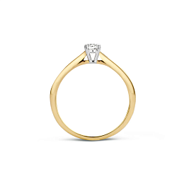 Ring/1187BZI/52