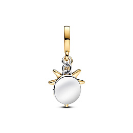 Pandora Moments Charm / 763588C01