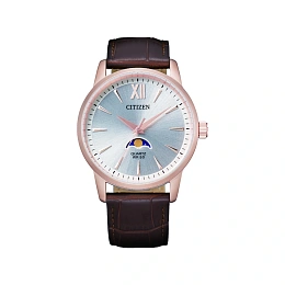 Quartz Wristwatch/AK5003-05A