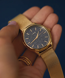 Quartz Wristwatch/TW2V01300