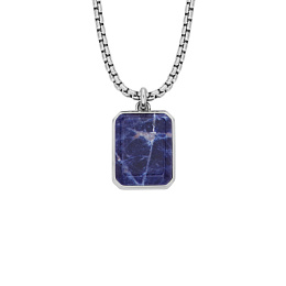 Fossil Necklace/JF04469040