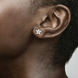 Moments Earring/299239C01