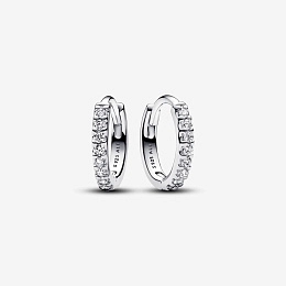 Earring/293015C01