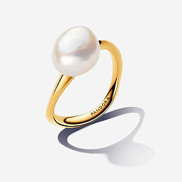 PANDORA Gold Plated metal blend Ring / 163293C01-56