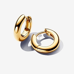 PANDORA Gold Plated metal blend Earring / 263320C00
