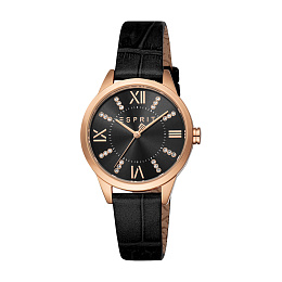 Quartz Wristwatch/ES1L259L6035