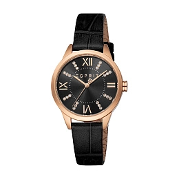 Quartz Wristwatch/ES1L259L6035