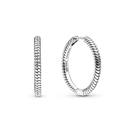 Moments Earring/299532C00