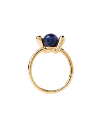 Ring / AN01-D21-16