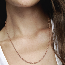 Moments Necklace/389410C00-50