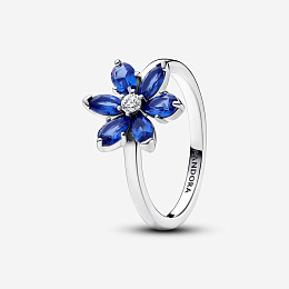 Ring/193000C01-52