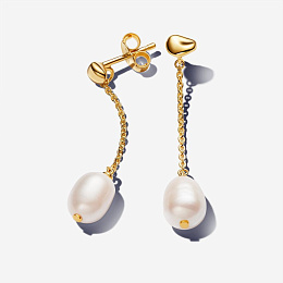 PANDORA Gold Plated metal blend Earring / 263313C01