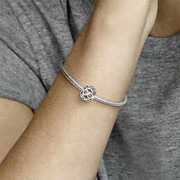 PANDORA Moments Charm / 791872