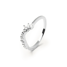 Ring / AN02-829-16