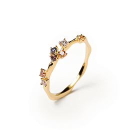 Ring / AN01-210-14