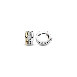 Earring/7754ZY