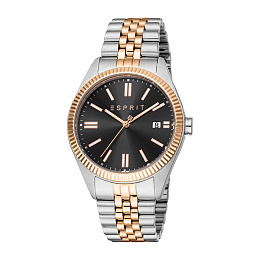 Quartz Wristwatch/ES1G365M1065