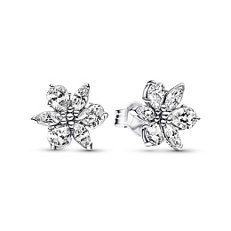Earring/292633C01