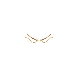 Earring/2514910