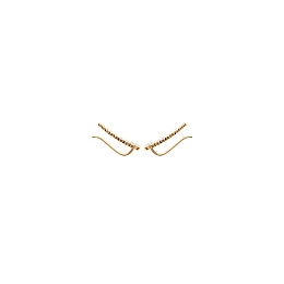 Earring/2514910
