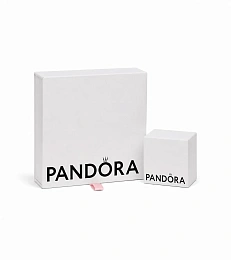 Pandora Moments სამაჯური / 599523C00-16