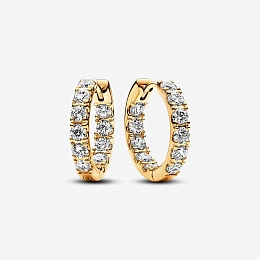 Earring/263002C01