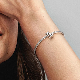 PANDORA Moments Charm / 798423C01