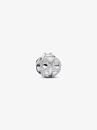 Pandora Moments Charm / 794527C00