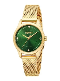 Quartz Wristwatch / ES1L484M2065