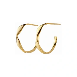Earring / 8262003D