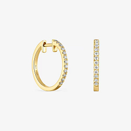 Earring / 1004133600
