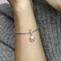 PANDORA Moments Charm / 791728CZ