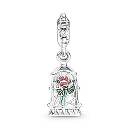Charm/790024C01