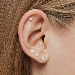 Earrings Set/018153590
