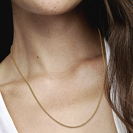 Moments Necklace/369260C00-60