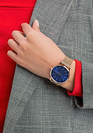 Quartz Wristwatch/1782288