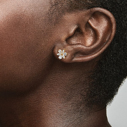 Earring/262633C01