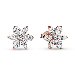 Earring/282407C01