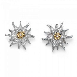 Earring/22708