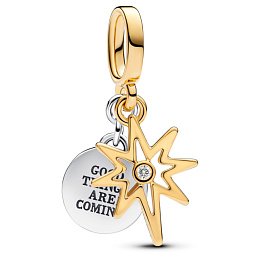 Pandora Moments Charm / 763588C01
