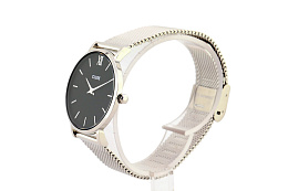 Quartz Wristwatch / CW0101203005