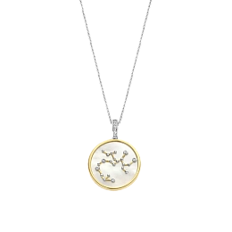 Ti Sento Sterling Silver Necklace/6826SA
