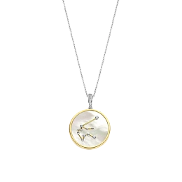 Ti Sento Sterling Silver Necklace/6826AQ