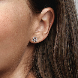 Earring/292370C01