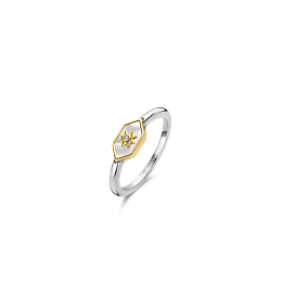 Ti Sento Sterling Silver Ring/12311MW-52