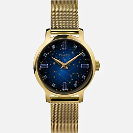 Quartz Wristwatch/TW2V51900