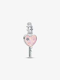 Pandora Moments Charm / 794427C01